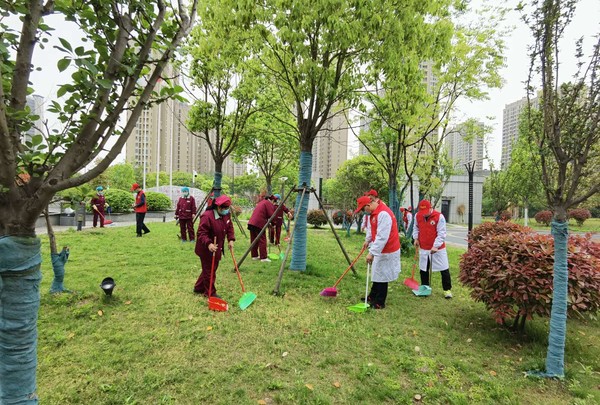 清扫，捡拾院区杂物.jpg
